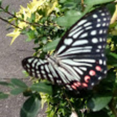 ９月のキャンパススケジュール