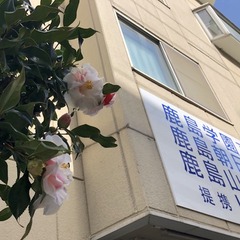 休校中も自宅でSkype（Line)英会話!　予約受付中！