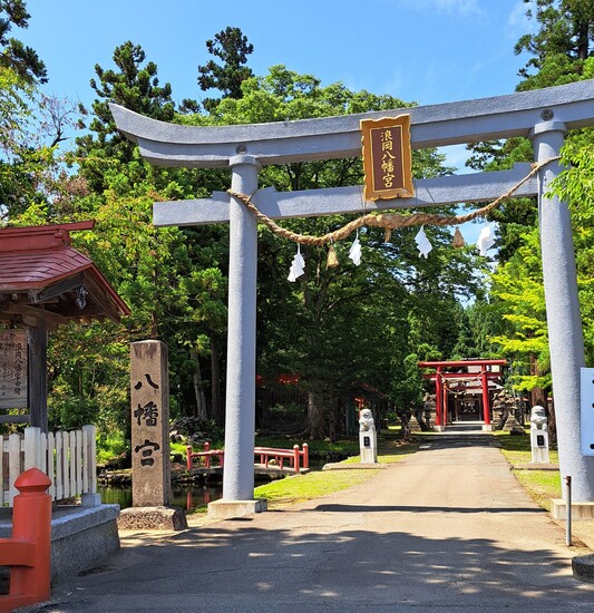 特別活動～神社清掃ボランティア