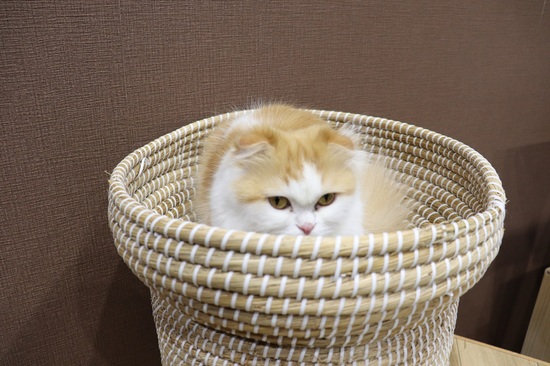 校外学習～癒し～