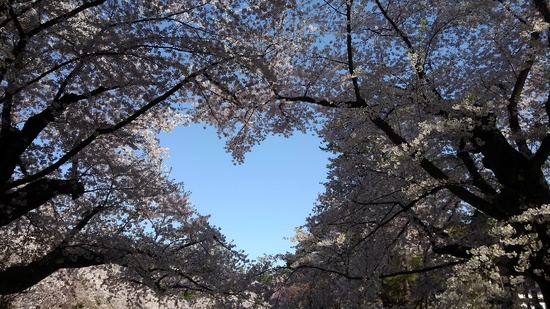 進級・新転入学、おめでとう