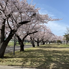４月生お待ちしています