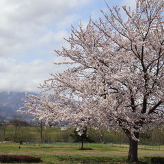 GW期間の事務停止につきまして