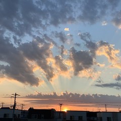 夏季個別相談会のお知らせ