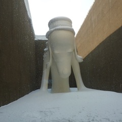 個別相談会のお知らせ・2月25日開催！