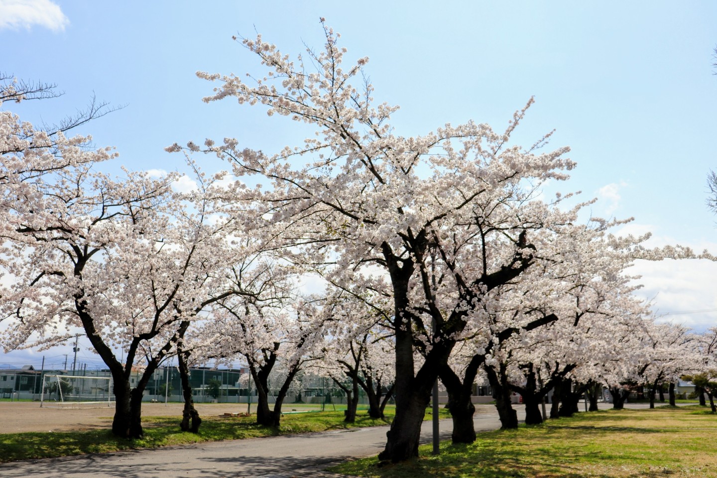 GW休業のお知らせ