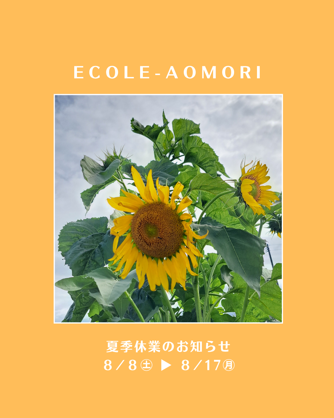 夏季休業のご案内