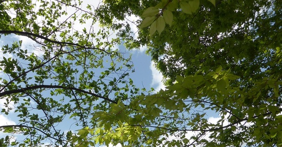 次回のレポート締切日は7月10日です