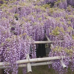 随時見学を受け付けています