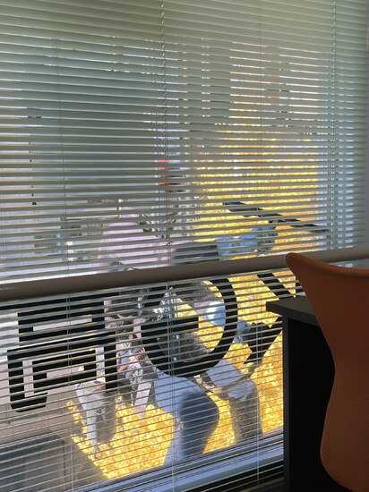 眺めは最高！　キャンパスは5階