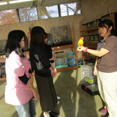 ちば愛犬動物フラワー学園
