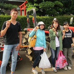 じゃがいも掘り