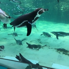 葛西臨海水族園