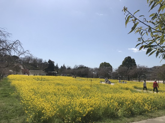 新年度が始まりました！