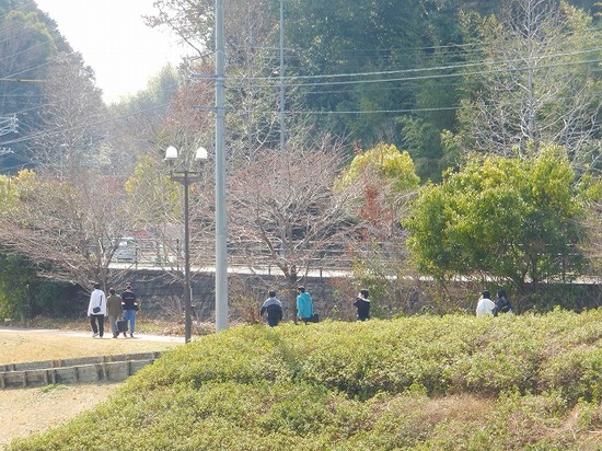 花見ウォーキング＆俳句作り　～ 長山公園 ～