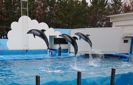 マリンピア日本海　水族館見学♪