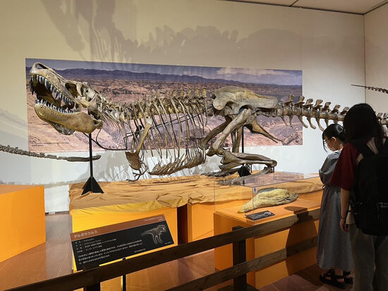 特別活動で「化石ハンター展」に行きました！《新潟キャンパス》