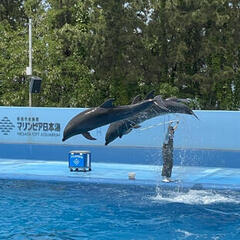 通信制高校にご興味のある方へ★新潟キャンパス★