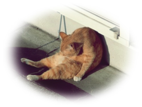 うっちーのブログ　　～インターンが寝坊！！？？～