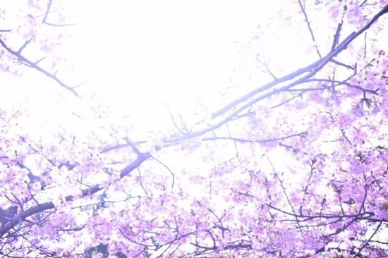 にりんブログ　　～鉄道小旅行＃３－３～