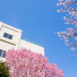 中学生不登校は転校したほうがいいのか？