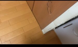 不登校・ひきこもりの進路未定はどうすべきか？