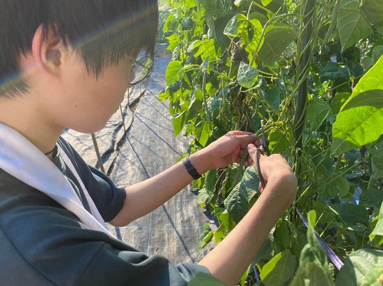 不登校・ひきこもりと農業のシナジー