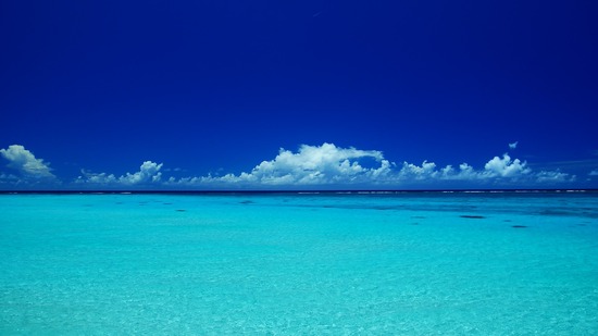 うっちーのブログ　　　～ほのぼの日記～