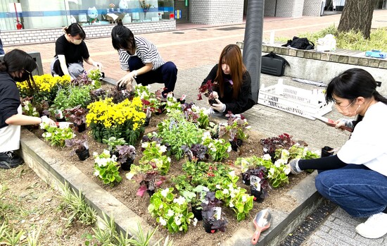 ボランティア・秋の花壇づくり
