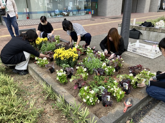 人気投票、始まる。