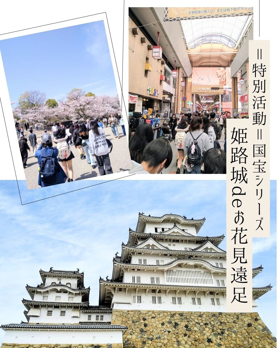 お花見遠足に行ってきました♪