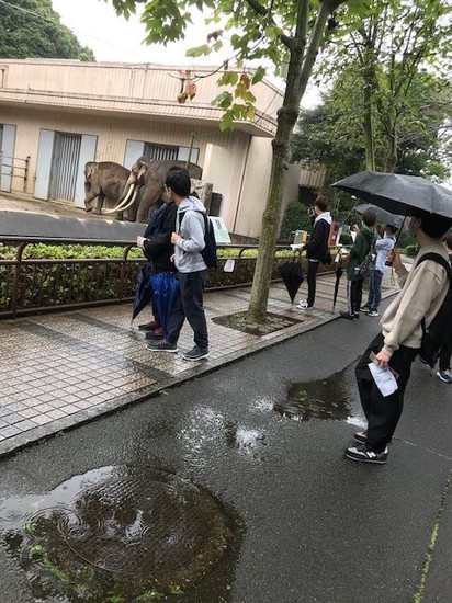 遠足に行ってきました＠金沢動物園