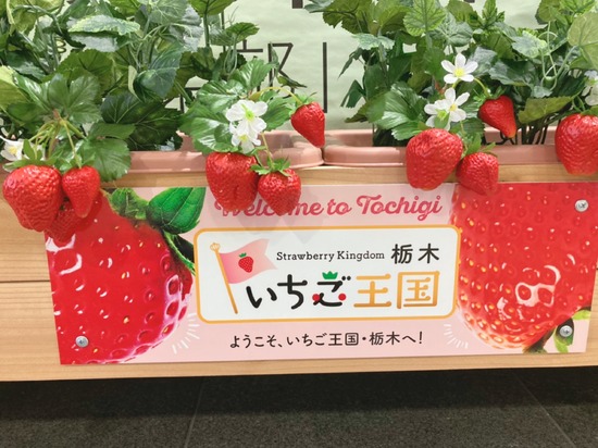 小山駅のかわいい飾り