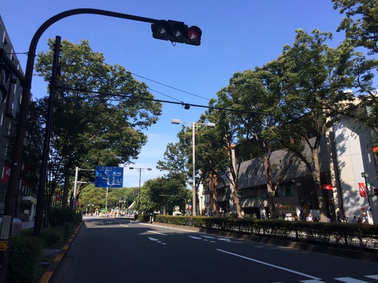 原宿表参道はファッションと緑のコントラスト