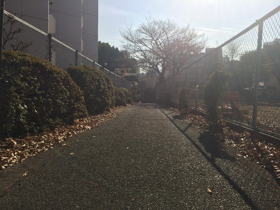  「大学に行くことも、行かないことも、自分で選んでいい」　#木曜日の気づき vol.7