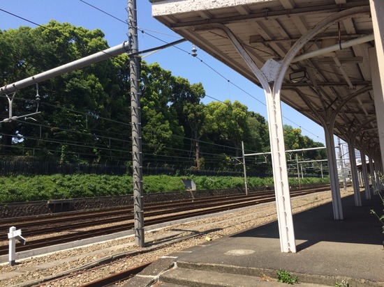 「比べないで、選んだ道を信じて」　#日曜日の決意 vol.6