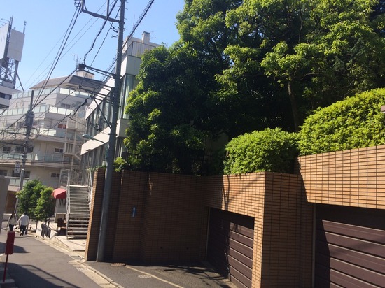 c「単位認定試験、不合格だったよ」「はい、わかりました！」