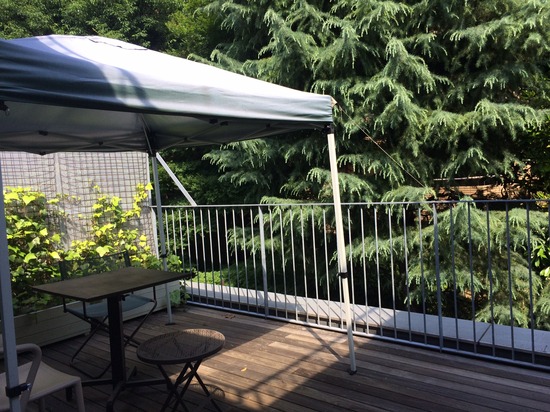 「学校の勉強なんかやめちゃえばいい」私が20年間そう言うわけ