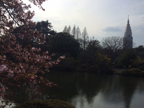 2020年度の新入生がラッキーである理由