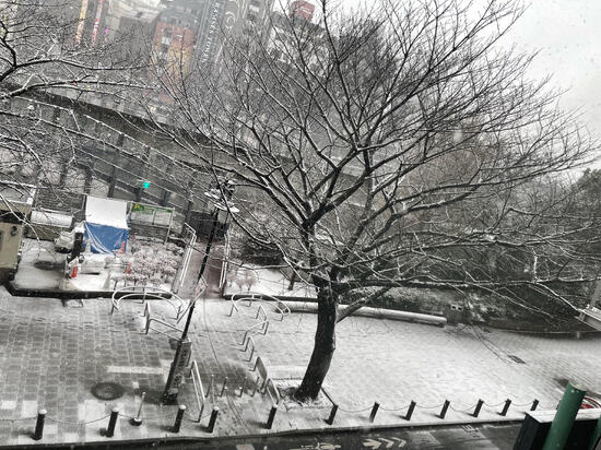 c 【東京】 東京にはこの弱点がありました。 東京 原宿 表参道 池袋サンシャイン 通信制高校 サポート校