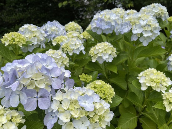 「まだ誰にも知られていない自分へ」　#水曜日のつぶやき Vol.1