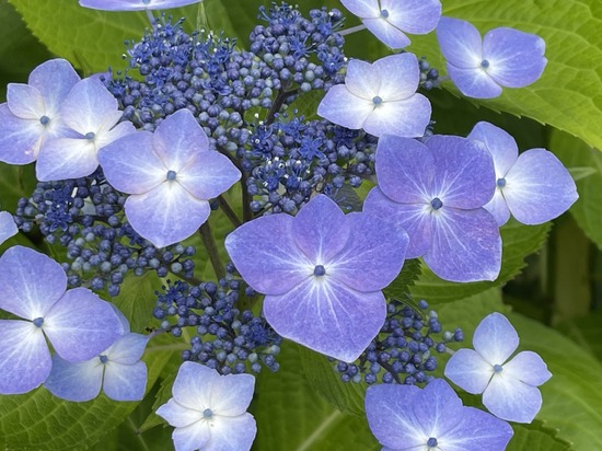 「道の途中に立つ、あなたへ」　　#日曜日の決意 Vol.1