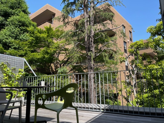 この夏休み、働きながら高校卒業を目指すあなたへ　　#月曜日の応援メッセージ vol.13