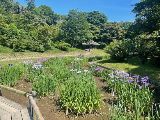 【世界とつながる街で過ごす高校生活が、一生の財産になる理由】 #木曜日の気づき vol.27