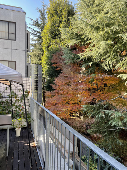 c 【入学相談】「ひたすら」な人に最適なシティーキャンパス/東京/原宿/池袋/渋谷/新宿/鹿島学園/通信制高校/サポート校