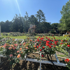 芸能プロダクションに所属したら原宿表参道シティーキャンパスへの入学がベストの理由