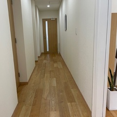 「中学３年生対象」2026年度4月新入学／「高校生対象」秋の転入学