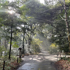 気になる行列　生徒に教わる