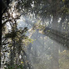 毎日をむだにする通学より週１通学で価値を生み出す高校生　　#土曜日のリアル vol.2　#原宿表参道シティーキャンパス #池袋サンシャインキャンパス #カシマ #通信制高校 