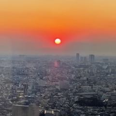 【中３／転入】個別相談＆進路アドバイス　「2026年に備えたい2つのこと」